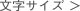 文字サイズ