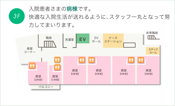 3F画像